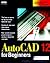 Autocad Release 12 for Beginners