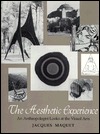 The Aesthetic Experience: An Anthropologist Looks at the Visual Arts (Hardcover)