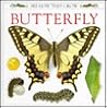 Butterfly by Mary Ling