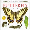 Butterfly (See How They Grow)