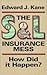 The S&L Insurance Mess