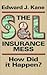 The S&L Insurance Mess by Kane