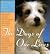 The Dogs of Our Lives: Heartwarming Reminiscences of Canine Companions