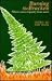 Burning the Bracken: Fiftee...