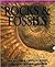 Rocks & Fossils