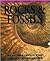 Rocks & Fossils (Visual Factfinder)
