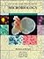Clinical and Pathogenic Microbiology