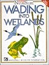 Wading Into Wetlands