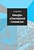 Principles of International Criminal Law