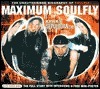 Maximum Soulfly: The Unauthorised Biography of Soulfly