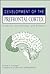 Development of the Prefrontal Cortex: Evolution, Neurobiology, and Behavior