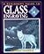 A Beginner's Guide to Glass Engraving