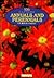 500 Popular Annuals & Perennials for American Gardeners
