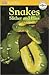 DK Readers L0: Snakes Slith...