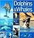 Dolphins & Whales