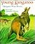 Young Kangaroo