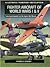 Illustrated Transport Encyclopedia: World War Fighter Aircraft