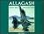 Allagash: Maine's Wild and ...