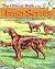 The Official Book of the Irish Setter