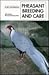Pheasant Breeding and Care