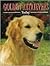 Golden Retrievers Today