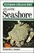 A Field Guide to the Atlantic Seashore