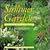 The Summer Garden