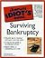 The Complete Idiot's Guide to Surviving Bankruptcy