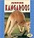 Jumping Kangaroos (Pull Ahead Books)