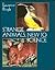 Strange Animals, New to Science