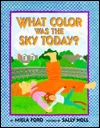 What Color Was the Sky Today? (Library Binding)