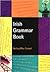 Irish Grammar Book by Nollaig Maccongail