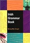 Irish Grammar Book (English and Irish Edition)