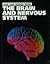 The Brain and Nervous System (How Our Bodies Work)