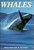 Whales (Great Creatures of the World)