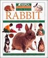 Rabbit (Aspca Pet Care Guides for Kids)