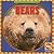 Bears