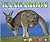 Kangaroos (Wild Ones)
