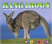 Kangaroos (Wild Ones)