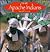 The Apache Indians (Native Peoples)