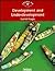 Development and Underdevelopment