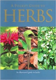 A Pocket Guide to Herbs (Paperback)