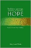 Hidden Springs of Hope: Finding God in the Desert of Suffering (Paperback)