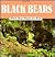 Black Bears: Black Bear Mag...