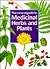 The Natural Guide to Medicinal Herbs and Plants by Frantisek Stary