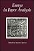 Essays in Paper Analysis by Stephen Spector