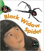 Black Widow Spider (Bug Books)