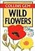 Wild Flowers