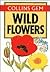 Wild Flowers (Gem Nature Guides)