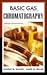 Basic Gas Chromatography by Harold M. McNair